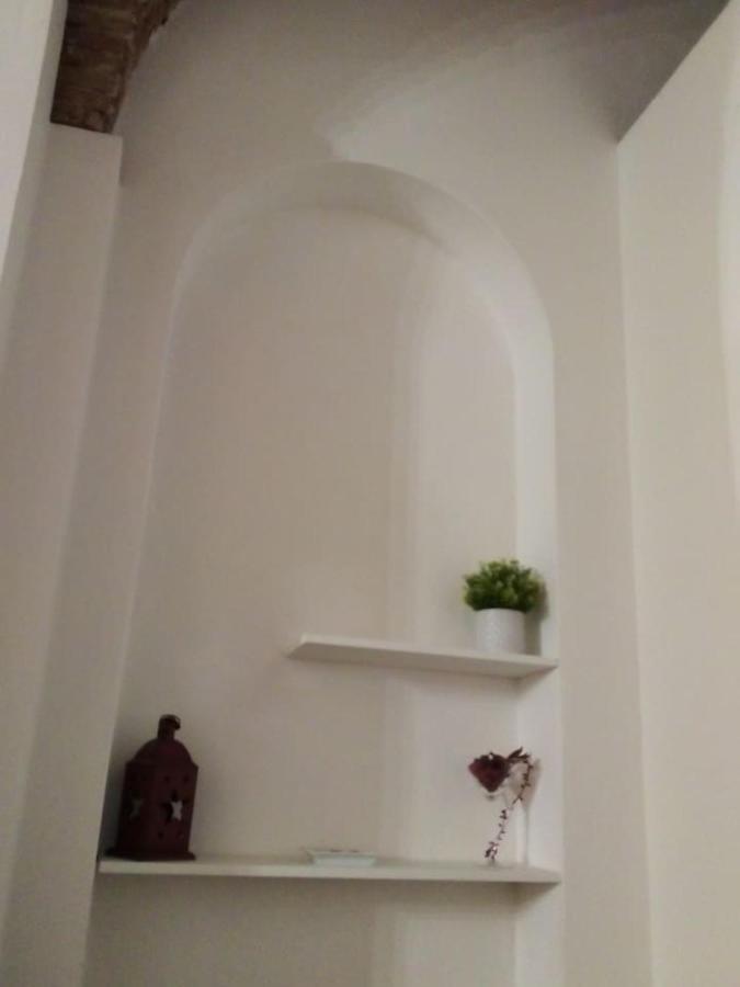 La Casa Di Dario, Dario'S House. Daire Pisa Dış mekan fotoğraf